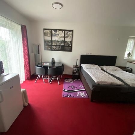 Homestay U Hanky Zdiby Buitenkant foto