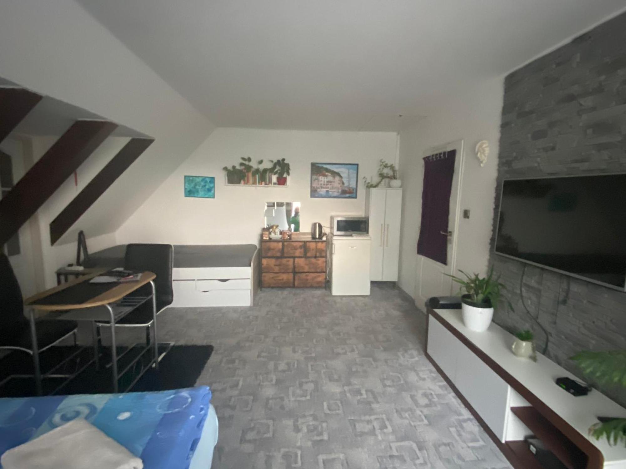 Homestay U Hanky Zdiby Buitenkant foto